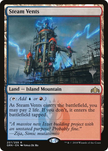 Steam vents pgrn 257p - pgrn,