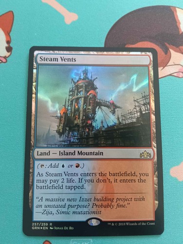 Mtg magic the gathering - mtg,
