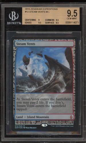 Magic the gathering - the,